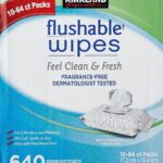 kirkland signature moist flushable wipes 640 count pack image