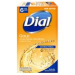 dial gold antibacterial soap pack image