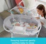 fisher price soothing motions bassinet windmill image
