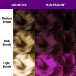manic panic plum passion hair dye image