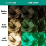 manic panic amethyst ashes hair dye image