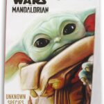 The Mandalorian Coloring Fun & Activity Book, 64 Pages