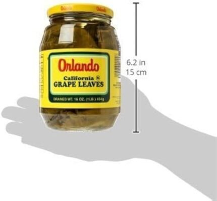 orlando california grape leaves image