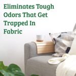 biokleen bac out fresh natural fabric refresher lavendar image