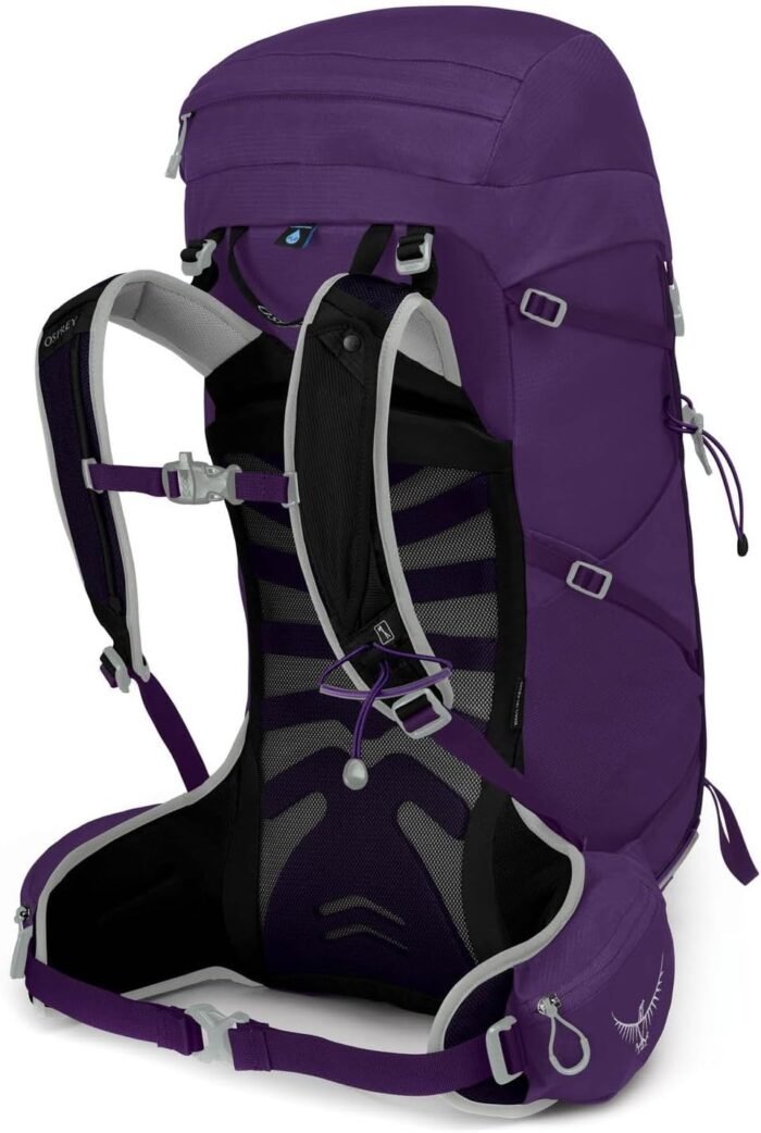 osprey tempest 30l women's backpack with hipbelt image