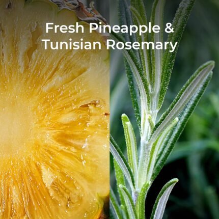 botanica air wick plug in pineapple & rosemary image