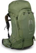 osprey atmos ag 65l backpack mythical green l xl image