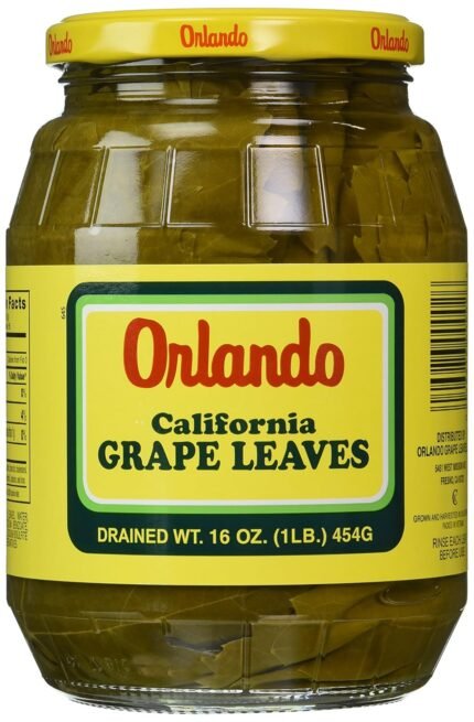 orlando california grapes leaves image