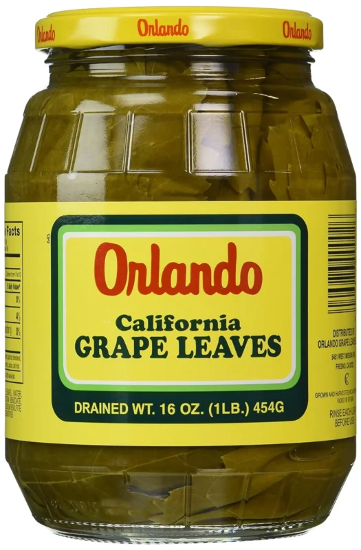 orlando california grape leaves image