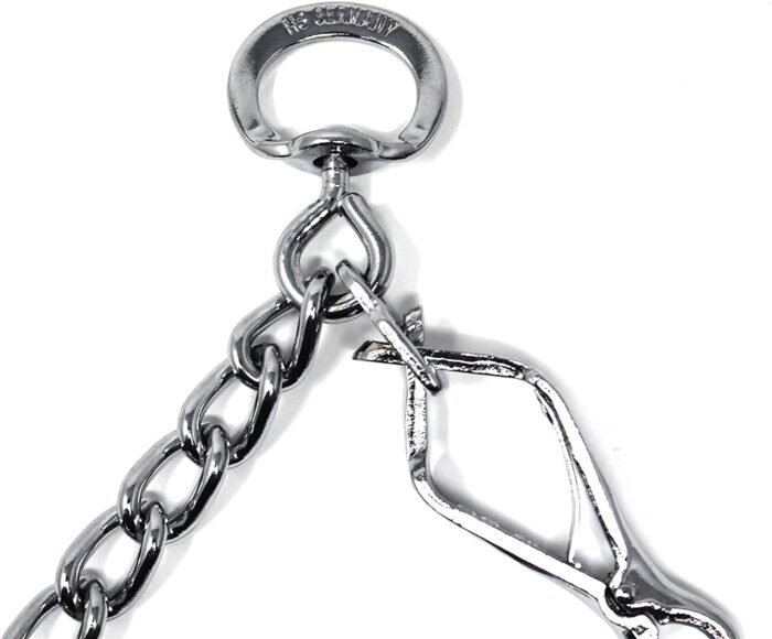 snap on style prong training collar image