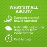 vetality stop the runs chewables for dogs image