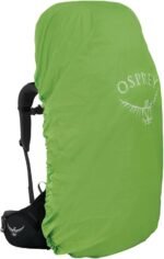 Osprey Aether 65 Men's green Backpack