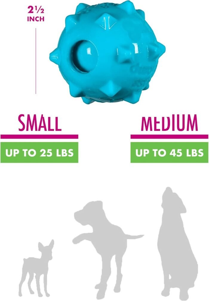 chase'n chomp squeaker ball toy image