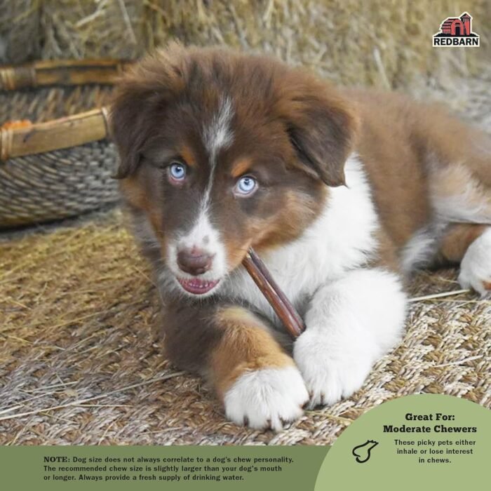redbarn 5 straight bully stick 1 lb image