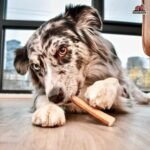 redbarn 5 straight bully stick 1 lb image