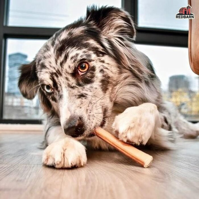 redbarn 5 straight bully stick 1 lb image