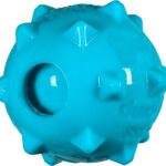 chase'n chomp squeaker ball toy image