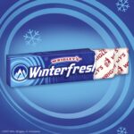 wrigleys winterfresh gum image