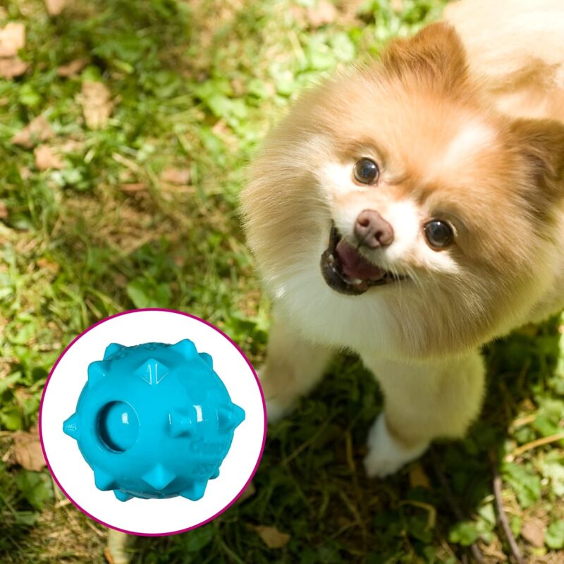 chase'n chomp squeaker ball toy image