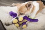 go dog bruto plush dog toys small purple image