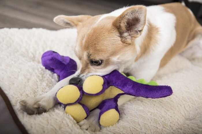 go dog bruto plush dog toys small purple image