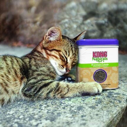 kong naturals premium catnip image