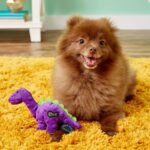 godog bruto plush dog toys image