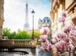 ravensburger spring in paris 500 piece puzzle image