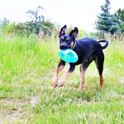 kong jumbler football dog toy large xl image
