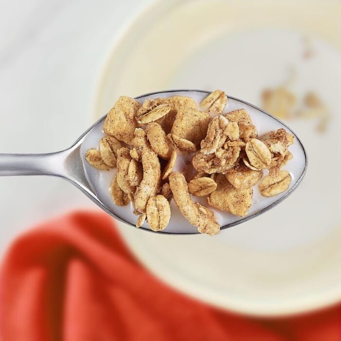 kashi go breakfast cereal cinnamon crisp pack image