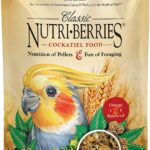 lafebers classic nutri berries parrot food pack image