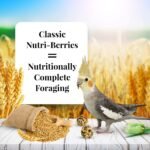 lafebers classic nutri berries parrot food pack image