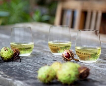 riedel o wine viognier chardonnay set of 2 clear image