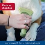safari shed magic de shedding tool for cats pack image