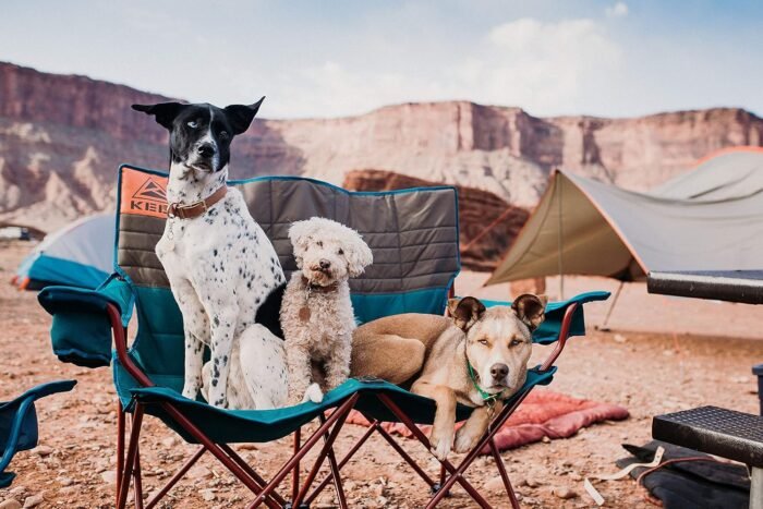 kelty low love seat camping portable folding chair image