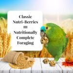 lafebers classic nutri berries parrot food pack image