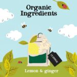 clipper tea lemon & ginger, 20 teabags image