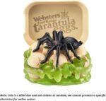 mega gross minis surprise ball image