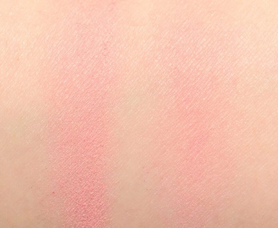 dande lion pack image