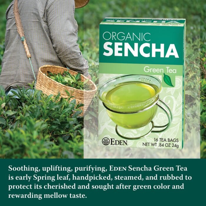 eden foods organic sencha green tea pack image