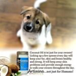 artisana organics raw coconut oil image