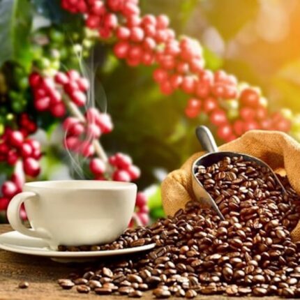 lion coffee vanilla macadamia ground coffee pack image