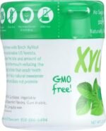 xylichew spearmint chewing gum 60 pieces image