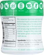 xylichew spearmint chewing gum 60 pieces image