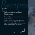 st dalfour black currant preserve image
