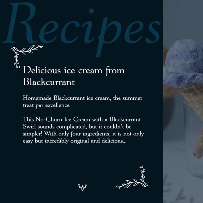 st dalfour black currant preserve image