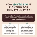 alter eco dark chocolate bar image