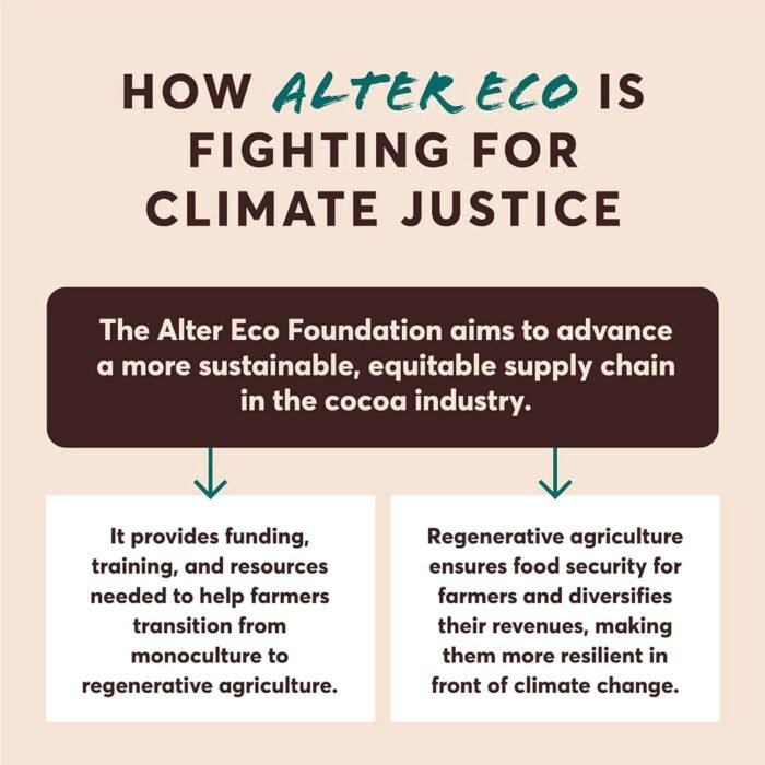 alter eco dark chocolate bar image
