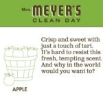 mrs meyers apple scent hand soap image