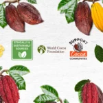 palmer's cocoa butter daily skin therapy soap image